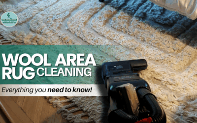 Wool Area Rug Cleaning Westfield – Expert Services