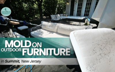 Mold on Outdoor Furniture in Summit NJ