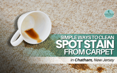 Simple Ways to Clean Spot Stain from Carpet