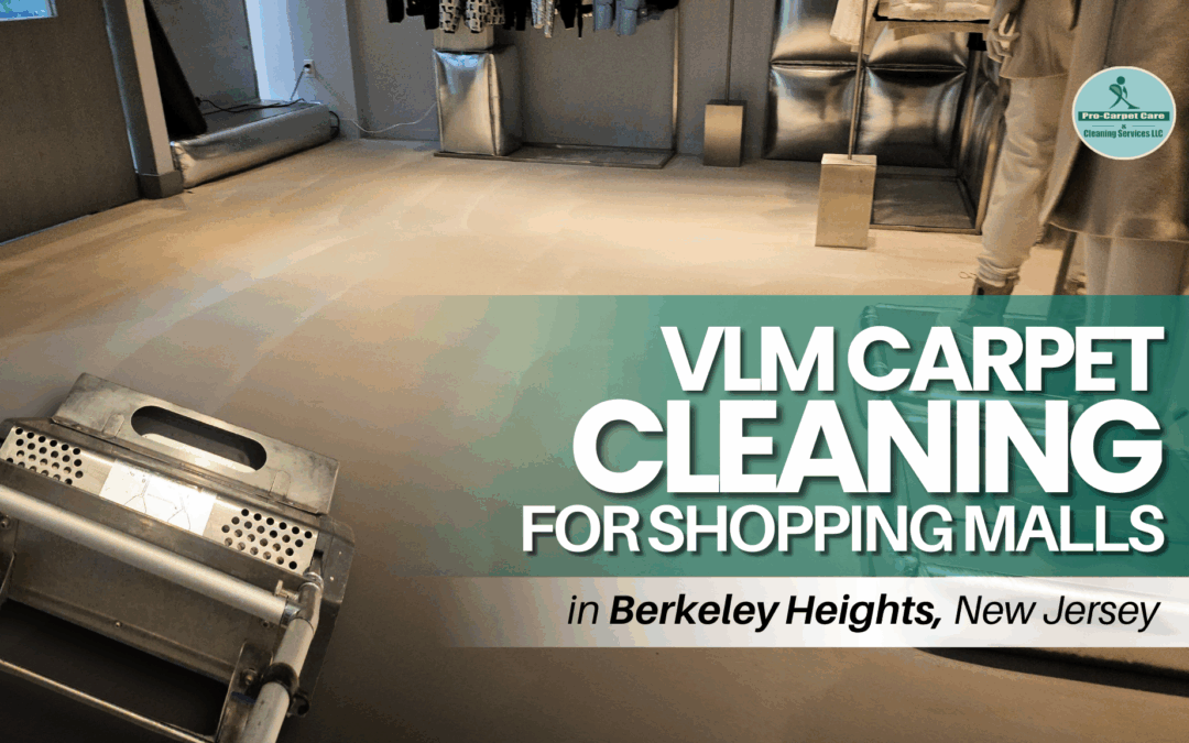 VLM Carpet Cleaning for Shopping Malls in Berkeley Heights, NJ