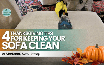 4 Thanksgiving Tips for Keeping Your Sofa Clean in Madison NJ