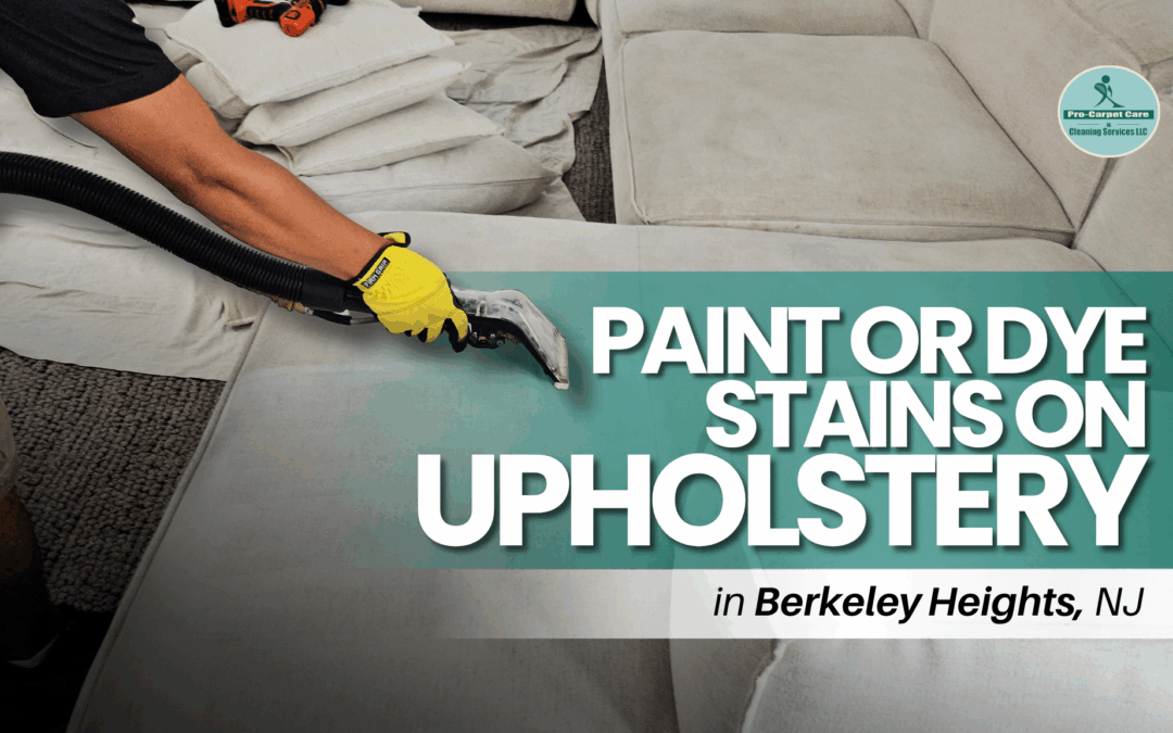 Paint or Dye Stains on Upholstery in Berkeley Heights, NJ