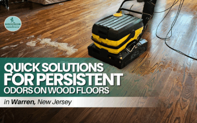 Quick Solutions for Persistent Odors on Wood Floors in Warren NJ