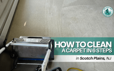 How to Clean a Carpet in 6 Steps in Scotch Plains