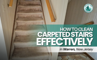 How to Clean Carpeted Stairs Effectively in Warren, NJ