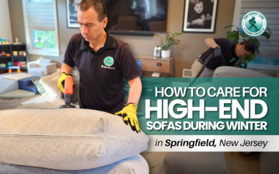 How to Care for High-End Sofas During Winter in Springfield, NJ