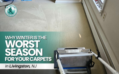 Why Winter Is the Worst Season for Your Carpets in Livingston, NJ