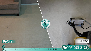 Pro Carpet Care & Cleaning services LLC - New Jersey place picture