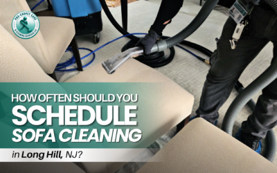 How Often Should You Schedule Sofa Cleaning in Long Hill, NJ