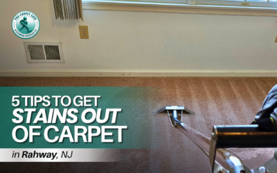 5 Tips to Get Stains Out of Carpet in Rahway NJ